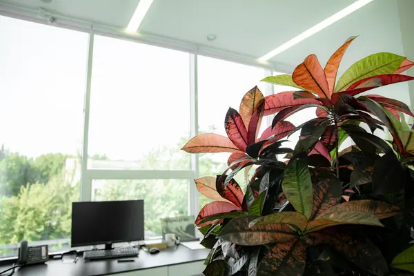 Рулонные шторы с тканью блэкаут