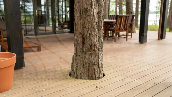 Современный дизайнерский дом с террасой и отделкой из дранки