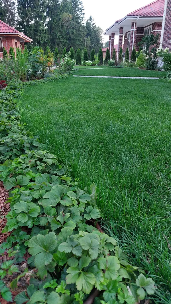 Частные сады. Подмосковье