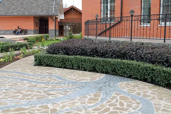 Живые изгороди