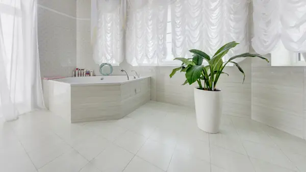 Флора Европа