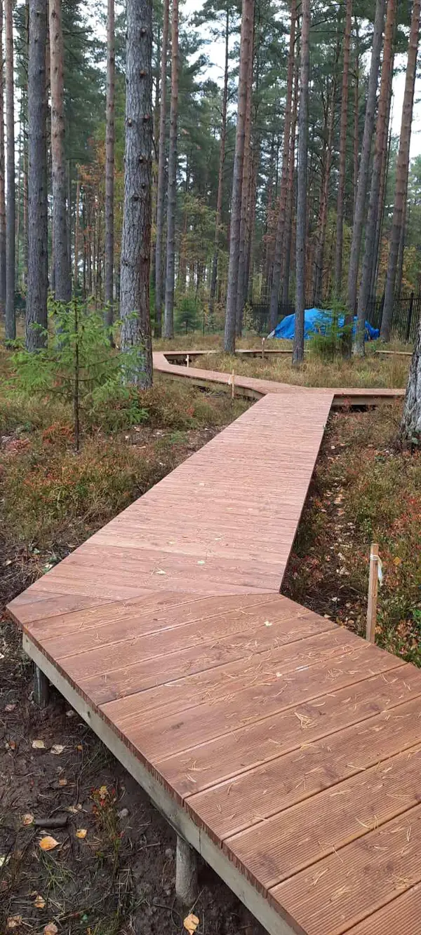 Текущий проект: Охта-Парк