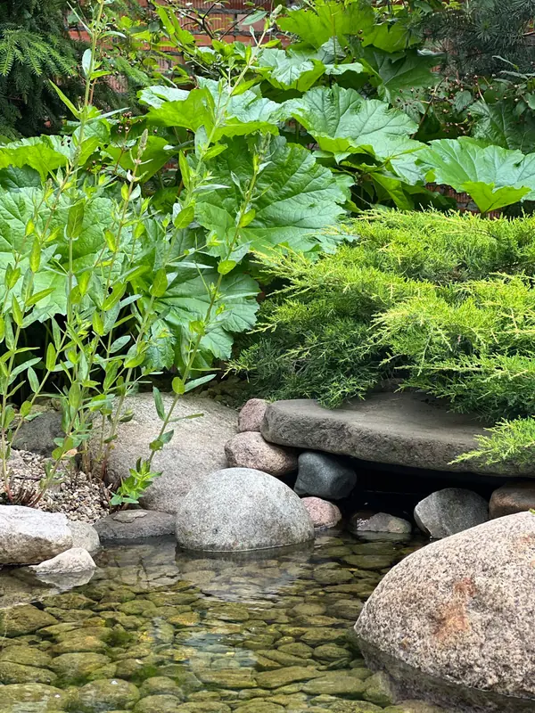 Английская история