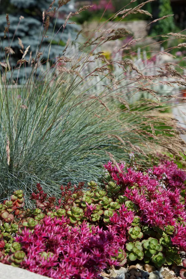 Сад пяти комнат