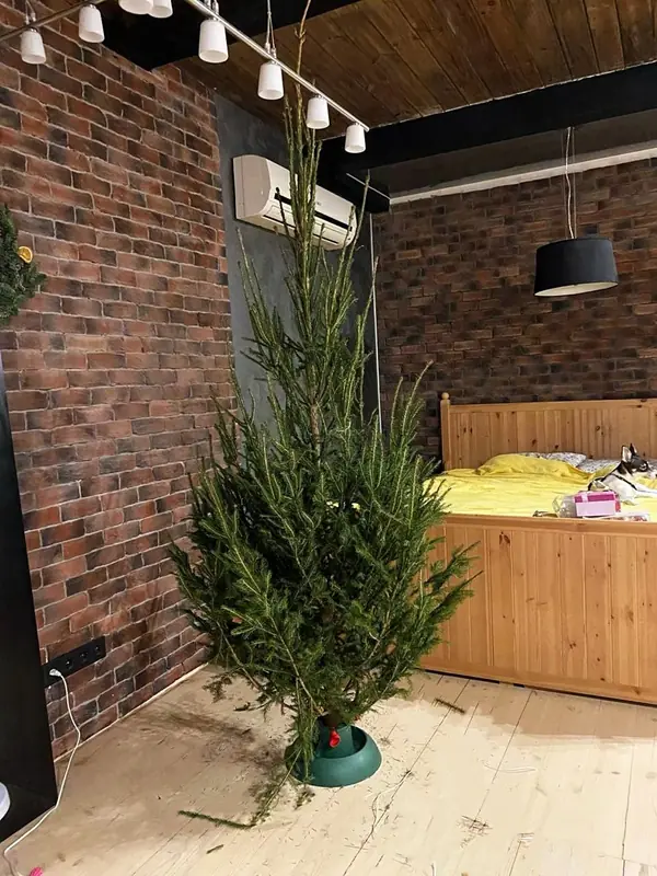 небольшая квартира для молодой пары в историческом центре