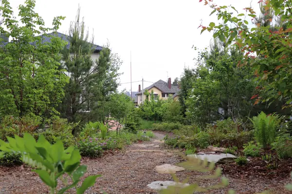 Русский лес