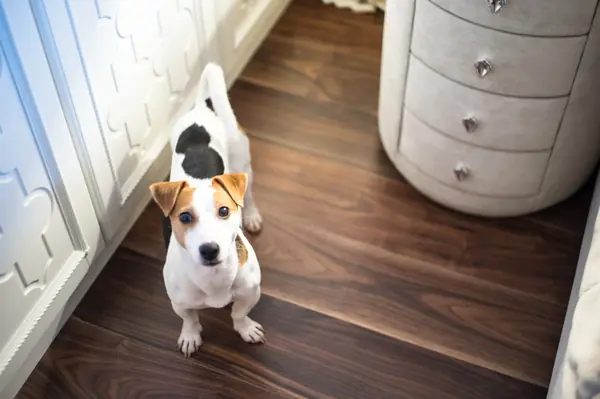 Карамышевская