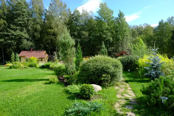 Зеркальный Ландшафтное проектирование