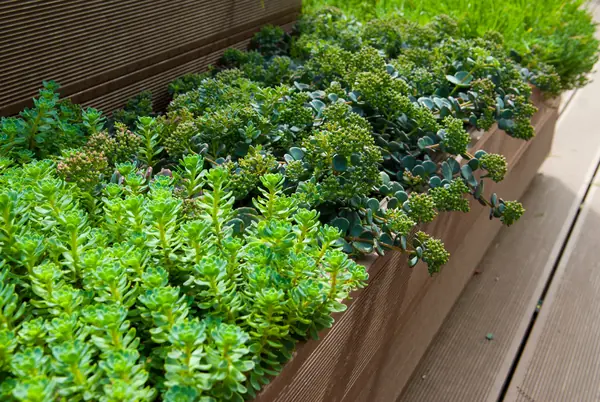 Московский балкон