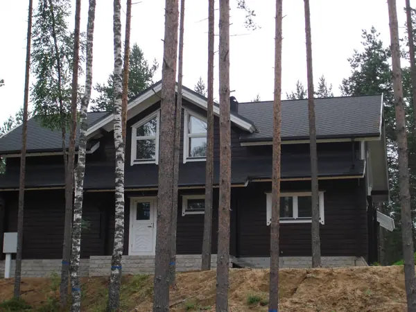 Коттеджный поселок (совместно с Honka)