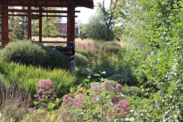 WB Берег пруда (август)