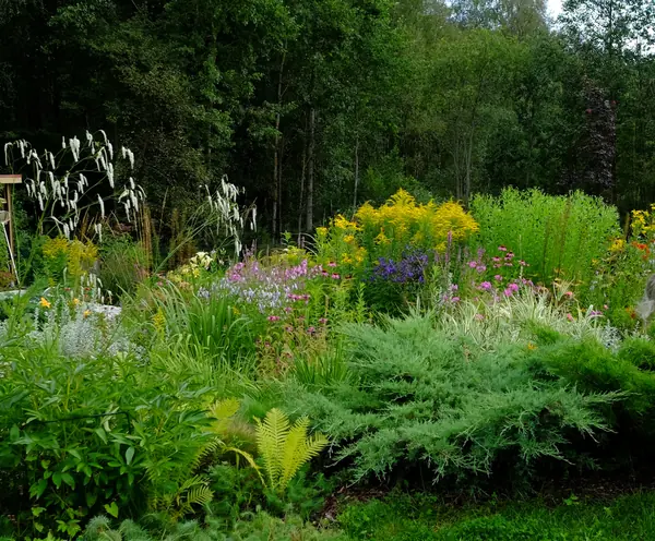 Зеркальный Ландшафтное проектирование