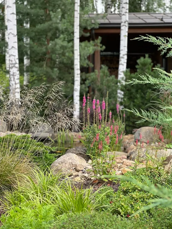 Английская история