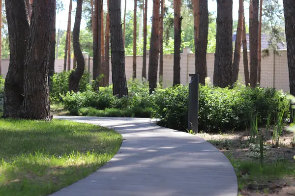 Сад под соснами