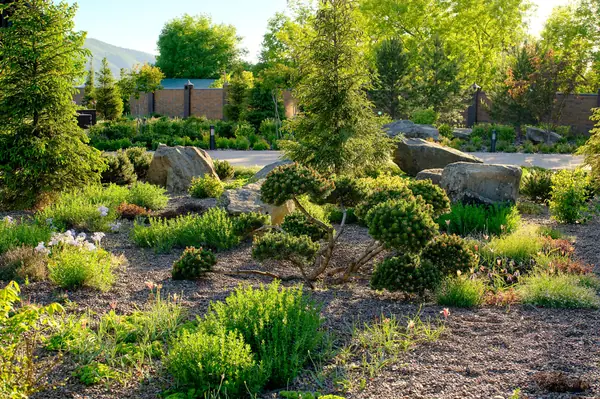 Бонсай в саду