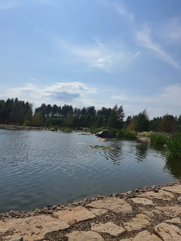 Декоративный водоём в п. Репино (Лен. обл.)