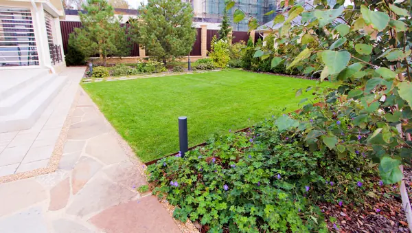 Павлово-2, 2022-2024 г.г.