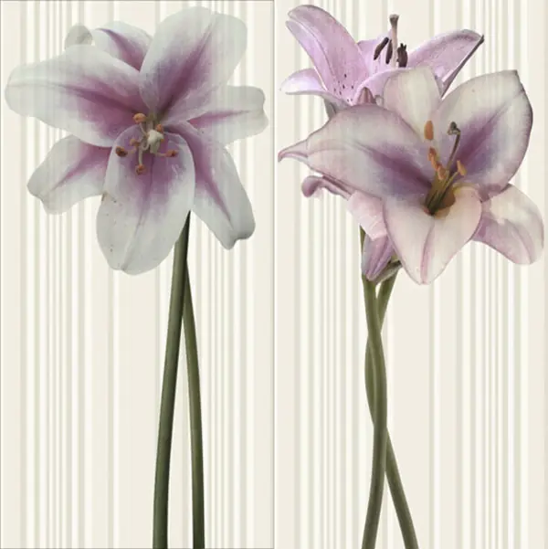 Испанский завод Ape Ceramica.