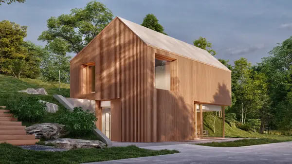 Зарождение