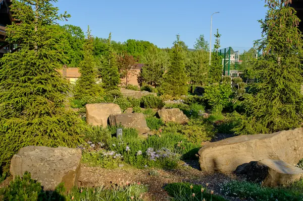 Камни в саду