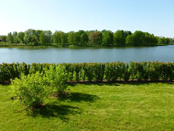 Озеленение