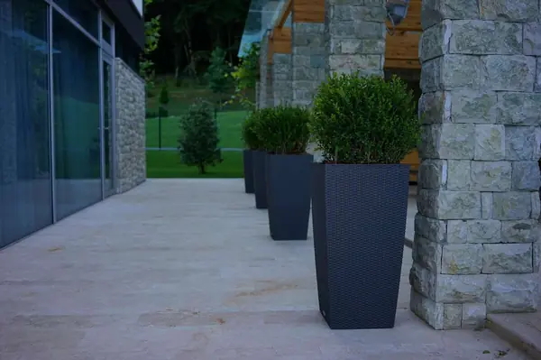 Лазурный Берег Сочи