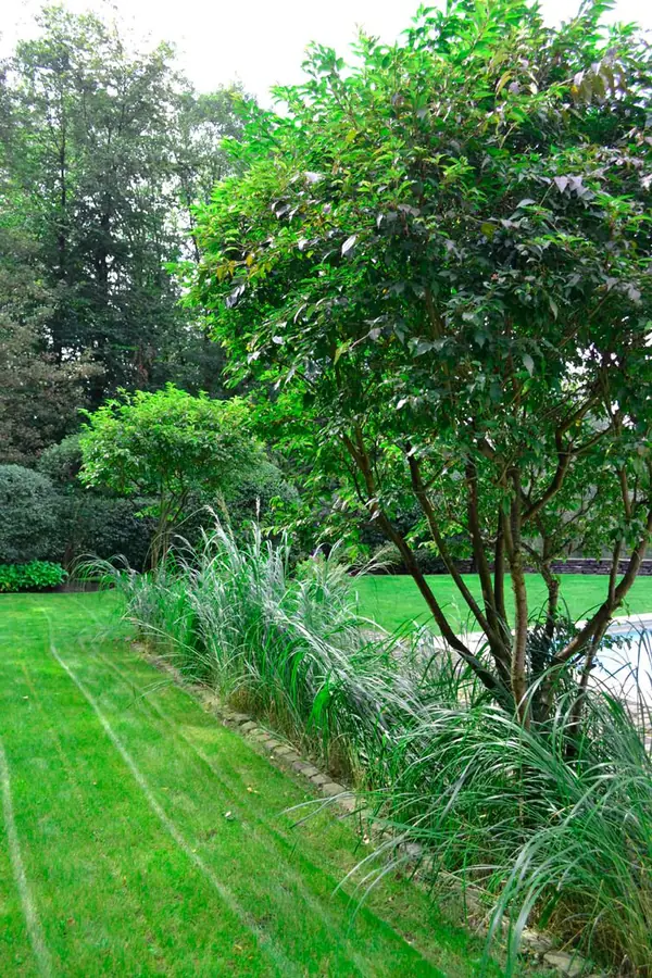 Ландшафтный дизайн фамильного жилища