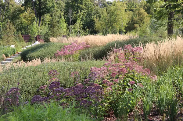 WB Берег пруда (август)