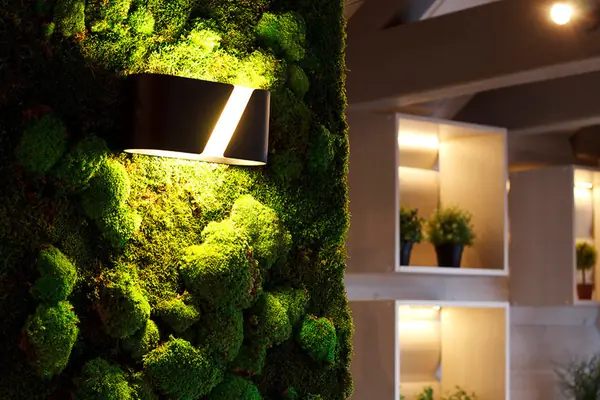 Бархатный сезон