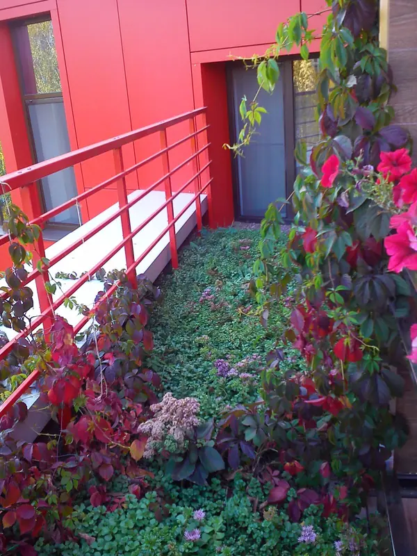 Зелёная крыша гостиницы "Альфа"