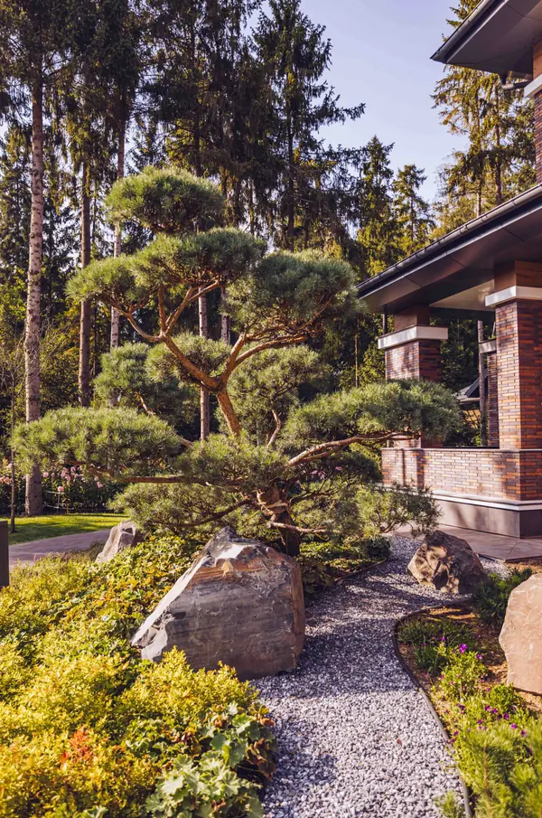 Архитектурное Решение в Пейзажном Стиле