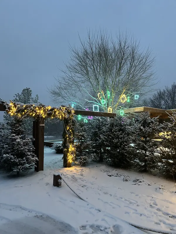 Новогоднее украшение сада