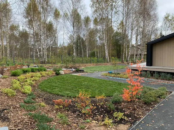 Проект " В тонких линиях "