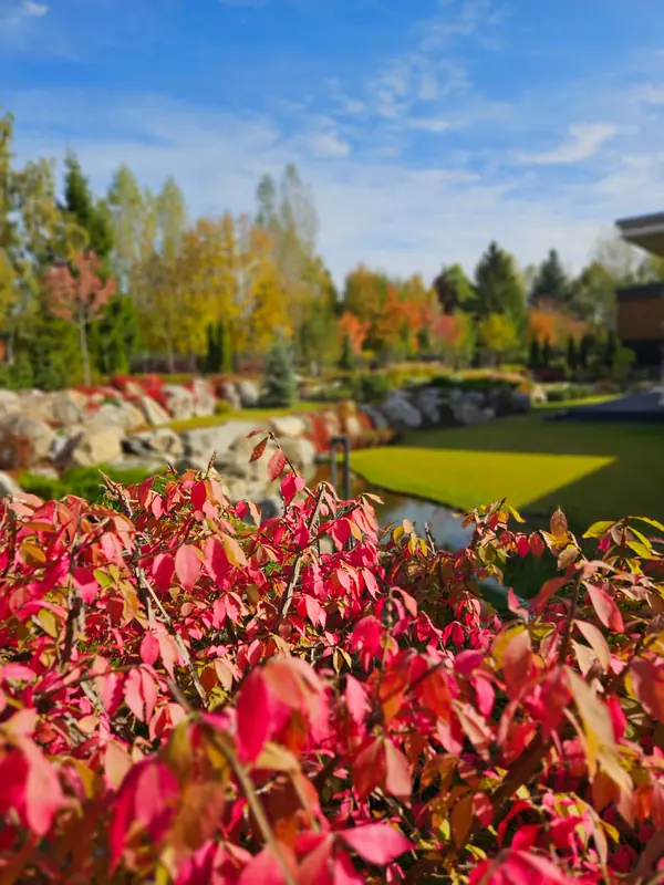 Миллениум парк 2024