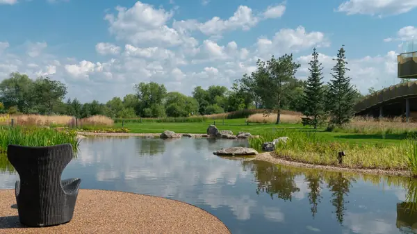 Природный сад. Жуковка XXI век. 2017-2018 гг.