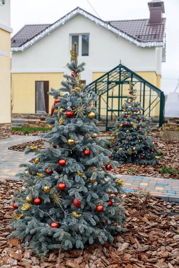 Новогоднее украшение сада и коттеджа