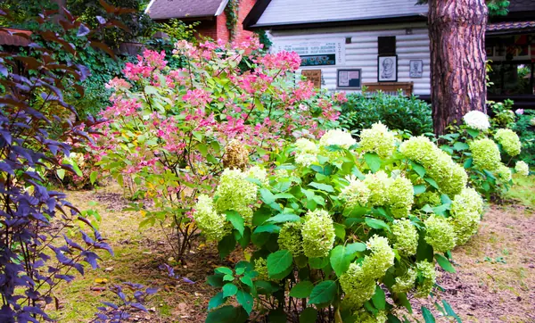 Баковка, 2018 г.