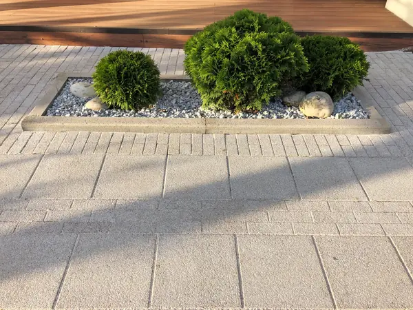 Восточный ветер