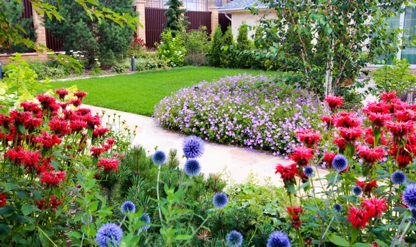 Павлово-2, 2022-2024 г.г.