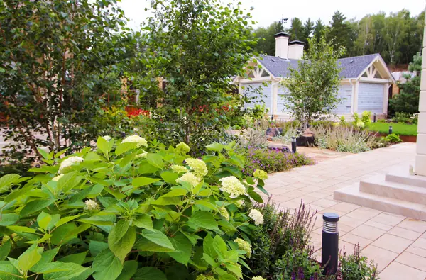 Павлово-2, 2022-2024 г.г.