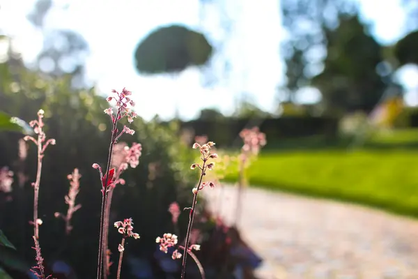 Загородный клуб