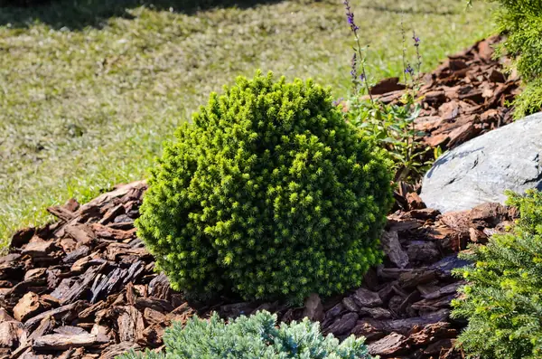 Избушка на опушке