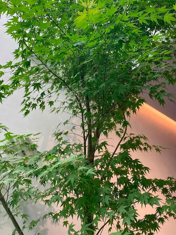 Матовое покрытие из декоративной штукатурки в белом цвете