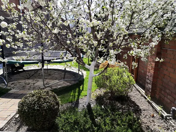 Дворик с поилкой для птиц