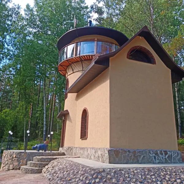 Дом с башней в сказочном стиле в Карелии