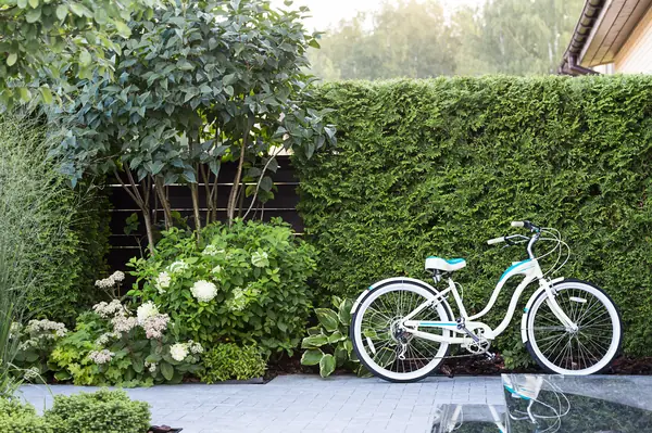 Фотосъёмка сада (к/п Светлогорье)