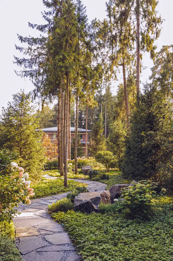 Архитектурное Решение в Пейзажном Стиле