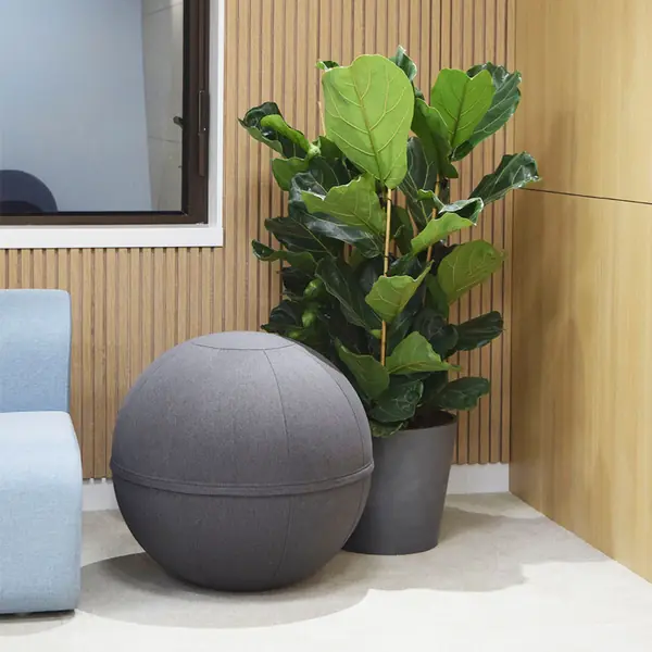 Озеленение помещения