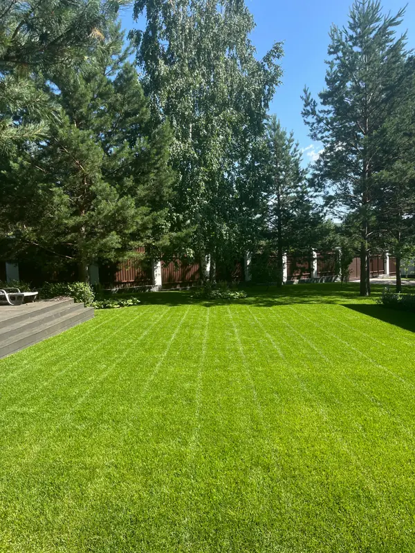 Рулонный газон Красноярск