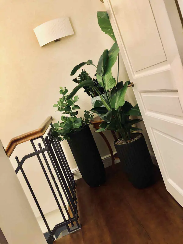 Пент Хаус 240 кв.м.